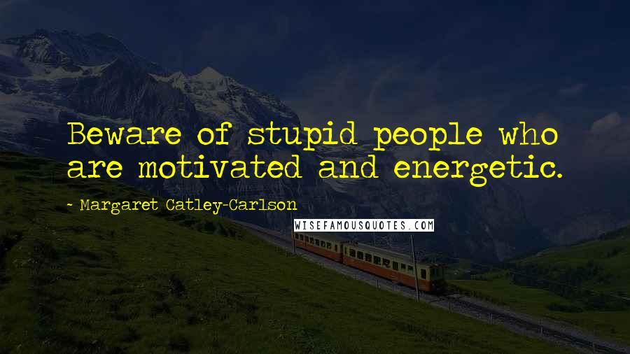 Margaret Catley-Carlson quotes: Beware of stupid people who are motivated and energetic.