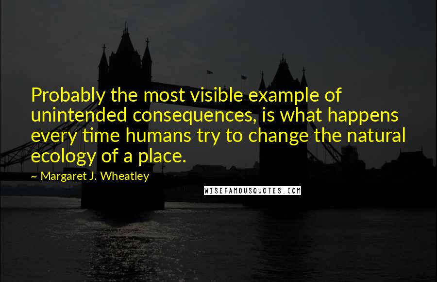 Margaret J. Wheatley quotes: Probably the most visible example of unintended consequences, is what happens every time humans try to change the natural ecology of a place.