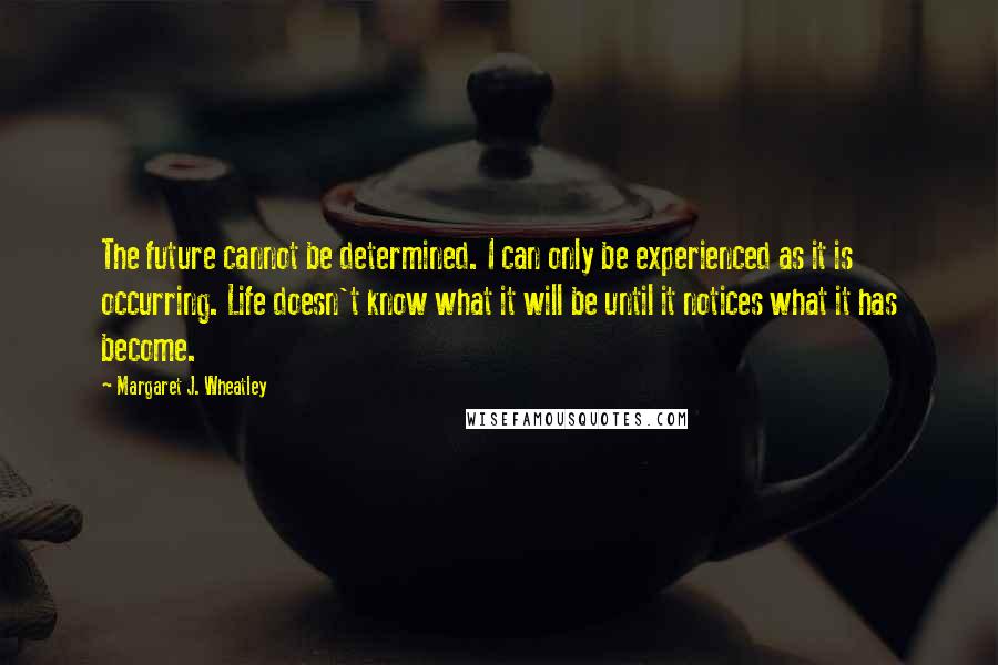 Margaret J. Wheatley quotes: The future cannot be determined. I can only be experienced as it is occurring. Life doesn't know what it will be until it notices what it has become.