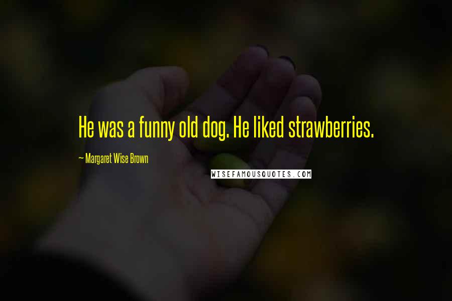 Margaret Wise Brown quotes: He was a funny old dog. He liked strawberries.