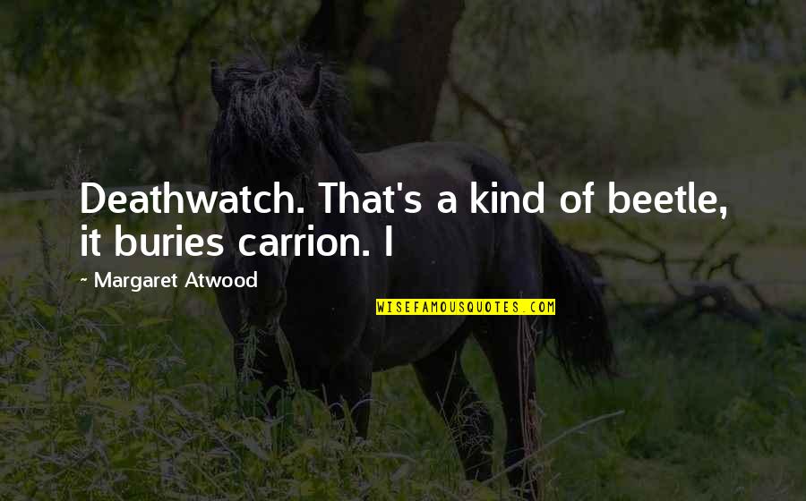 Margaret's Quotes By Margaret Atwood: Deathwatch. That's a kind of beetle, it buries Margaret's Quotes By Margaret Atwood: Deathwatch. That's a kind of beetle, it buries