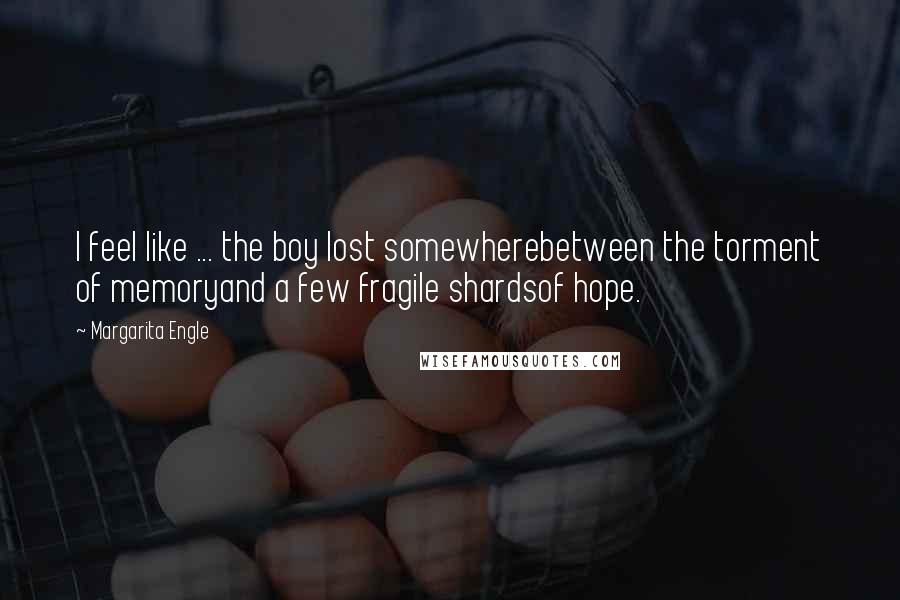 Margarita Engle quotes: I feel like ... the boy lost somewherebetween the torment of memoryand a few fragile shardsof hope.