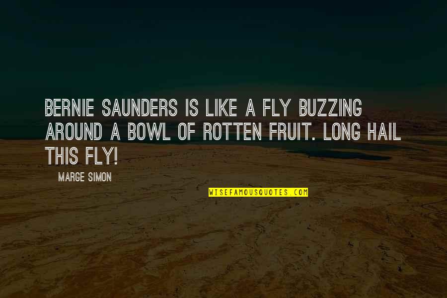 Marge Quotes By Marge Simon: Bernie Saunders is like a fly buzzing around