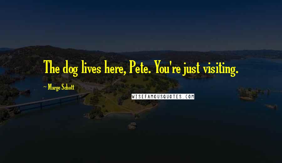 Marge Schott quotes: The dog lives here, Pete. You're just visiting.