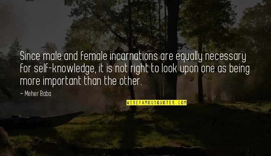 Margery Doors Quotes By Meher Baba: Since male and female incarnations are equally necessary