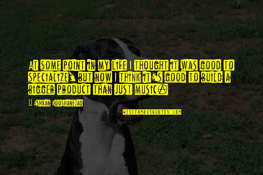 Marghyrningar Quotes By Ashkan Kooshanejad: At some point in my life I thought Marghyrningar Quotes By Ashkan Kooshanejad: At some point in my life I thought