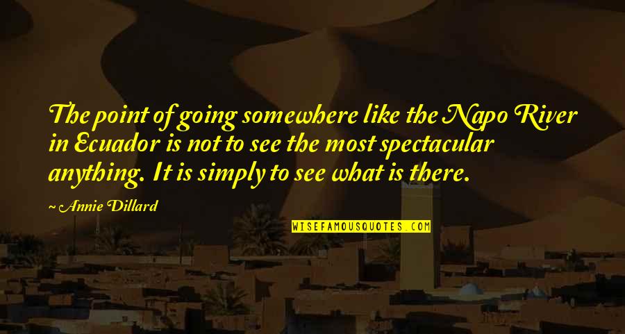 Marginados Serie Quotes By Annie Dillard: The point of going somewhere like the Napo