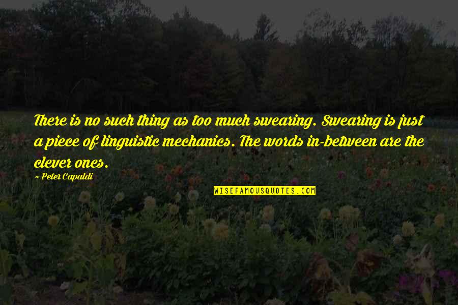 Marguerite De Angeli Quotes By Peter Capaldi: There is no such thing as too much