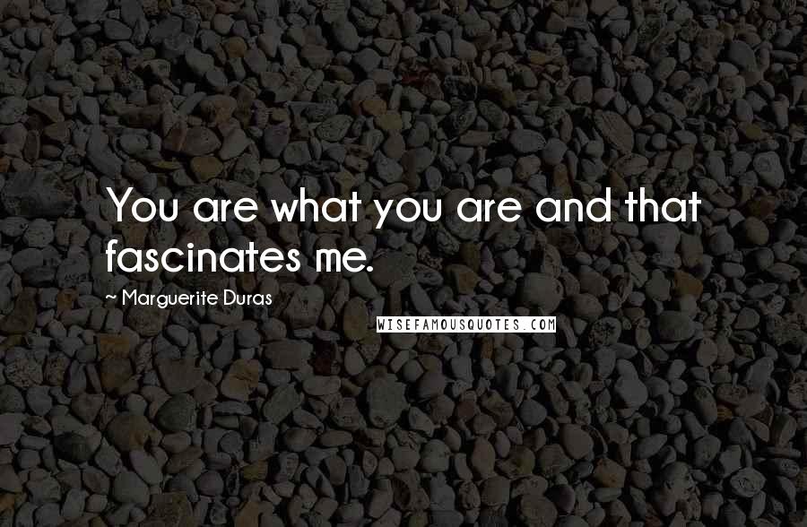 Marguerite Duras quotes: You are what you are and that fascinates me.