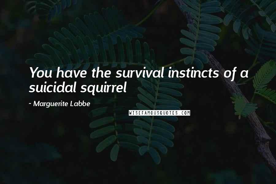 Marguerite Labbe quotes: You have the survival instincts of a suicidal squirrel