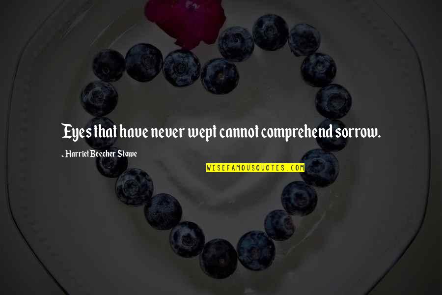 Maria Dabrowska Quotes By Harriet Beecher Stowe: Eyes that have never wept cannot comprehend sorrow.