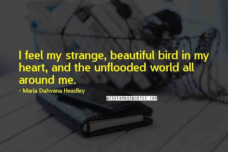 Maria Dahvana Headley quotes: I feel my strange, beautiful bird in my heart, and the unflooded world all around me.