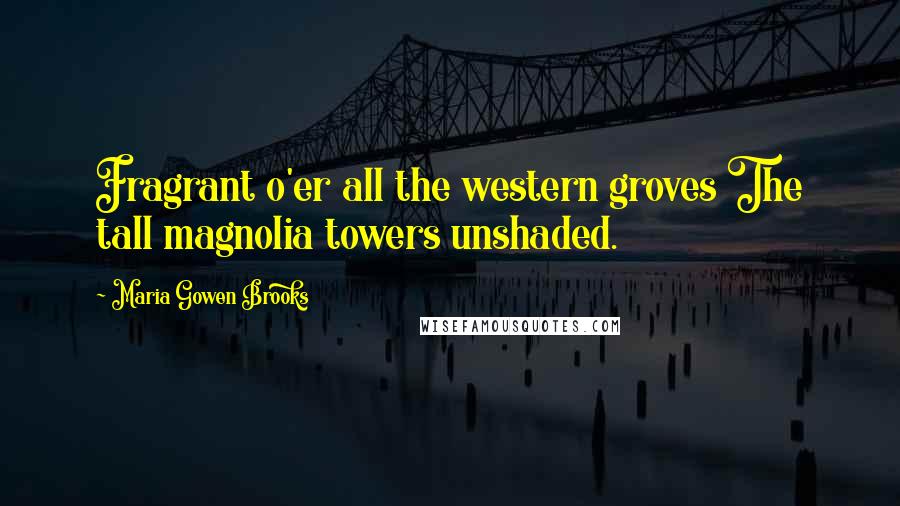 Maria Gowen Brooks quotes: Fragrant o'er all the western groves The tall magnolia towers unshaded.
