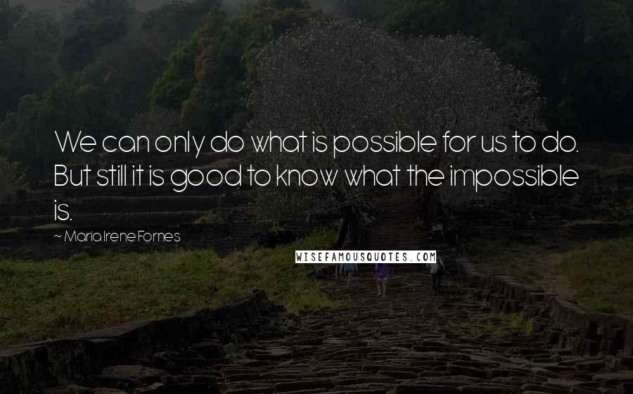 Maria Irene Fornes quotes: We can only do what is possible for us to do. But still it is good to know what the impossible is.