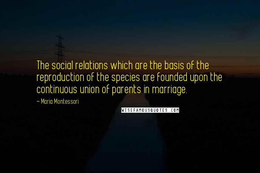 Maria Montessori quotes: The social relations which are the basis of the reproduction of the species are founded upon the continuous union of parents in marriage. Maria Montessori quotes: The social relations which are the basis of the reproduction of the species are founded upon the continuous union of parents in marriage.