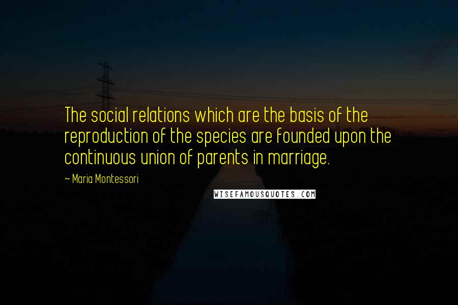 Maria Montessori quotes: The social relations which are the basis of the reproduction of the species are founded upon the continuous union of parents in marriage.