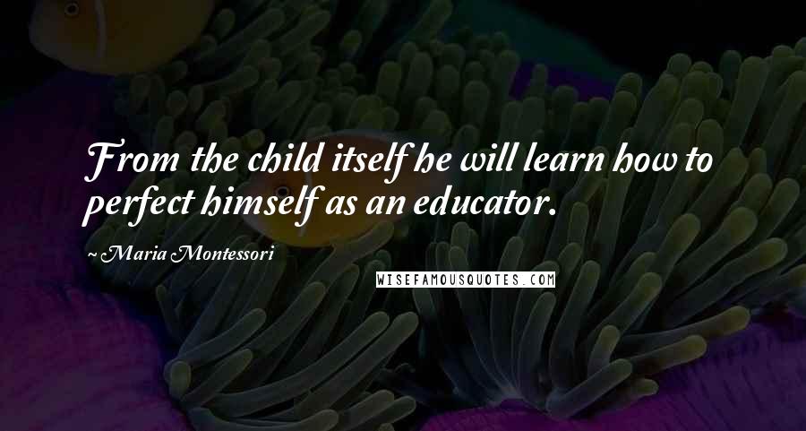 Maria Montessori quotes: From the child itself he will learn how to perfect himself as an educator.