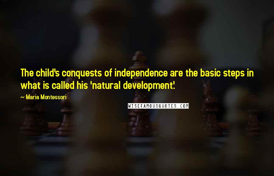 Maria Montessori quotes: The child's conquests of independence are the basic steps in what is called his 'natural development'.