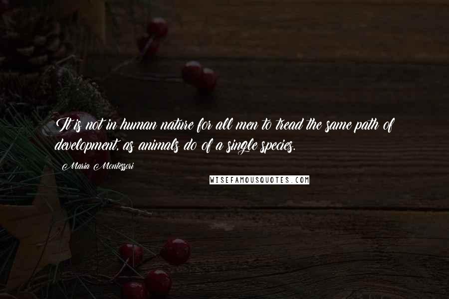 Maria Montessori quotes: It is not in human nature for all men to tread the same path of development, as animals do of a single species.