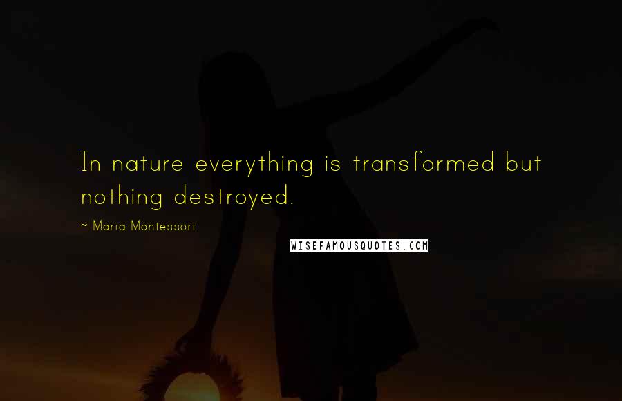 Maria Montessori quotes: In nature everything is transformed but nothing destroyed.