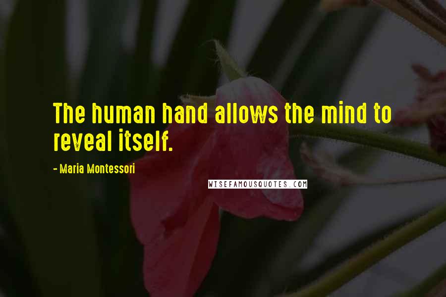 Maria Montessori quotes: The human hand allows the mind to reveal itself.