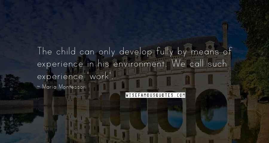 Maria Montessori quotes: The child can only develop fully by means of experience in his environment. We call such experience 'work'.