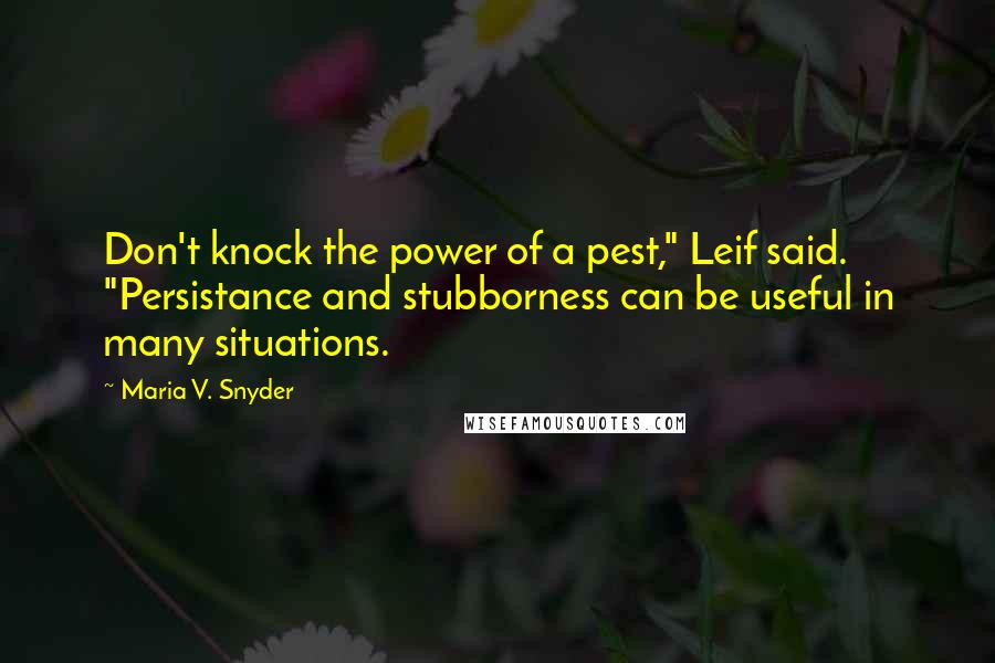 Maria V. Snyder quotes: Don't knock the power of a pest," Leif said. "Persistance and stubborness can be useful in many situations.