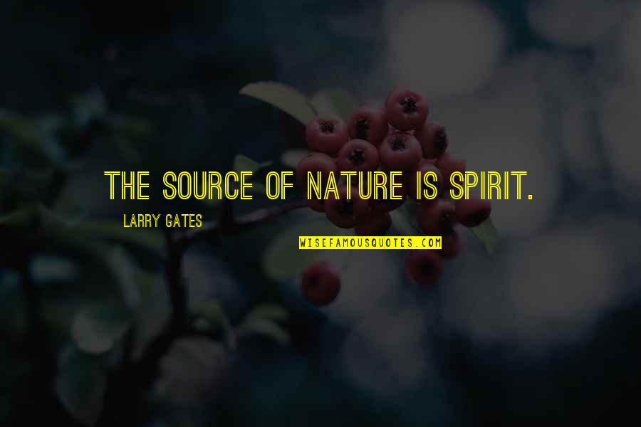 Marialejandra Martin Quotes By Larry Gates: The source of nature is spirit.