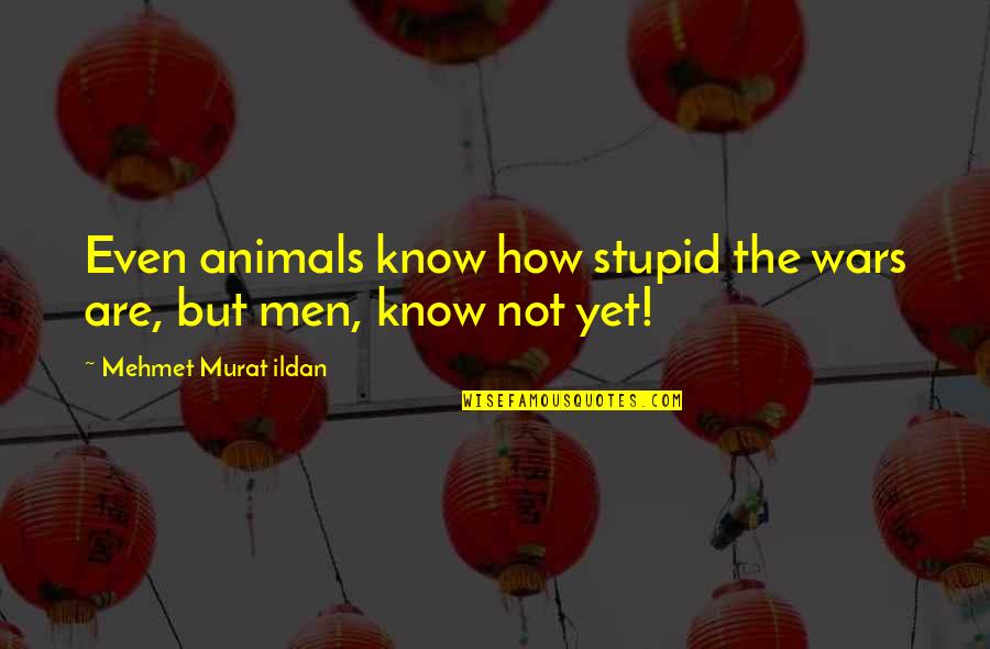 Mariama Goodman Quotes By Mehmet Murat Ildan: Even animals know how stupid the wars are, Mariama Goodman Quotes By Mehmet Murat Ildan: Even animals know how stupid the wars are,