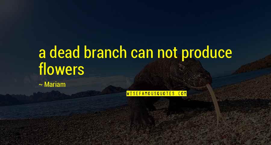 Mariam's Quotes By Mariam: a dead branch can not produce flowers