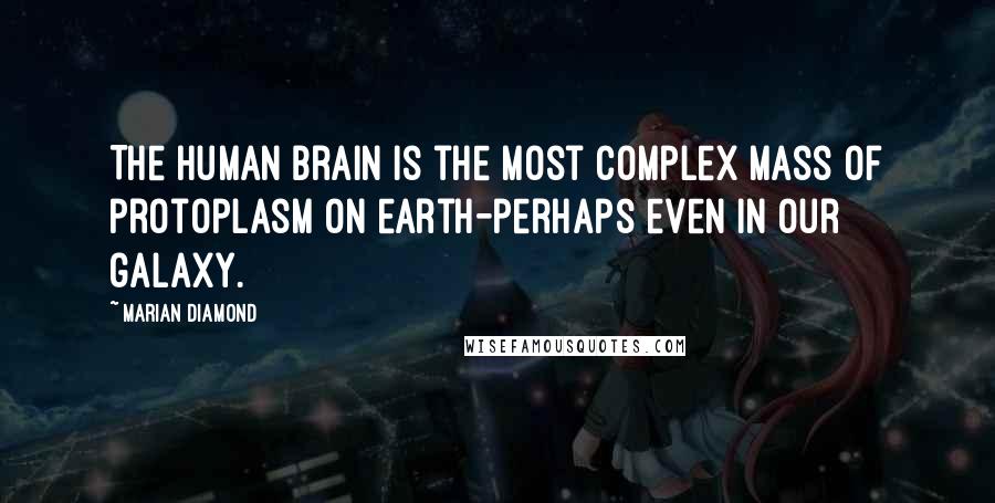Marian Diamond quotes: The human brain is the most complex mass of protoplasm on earth-perhaps even in our galaxy.