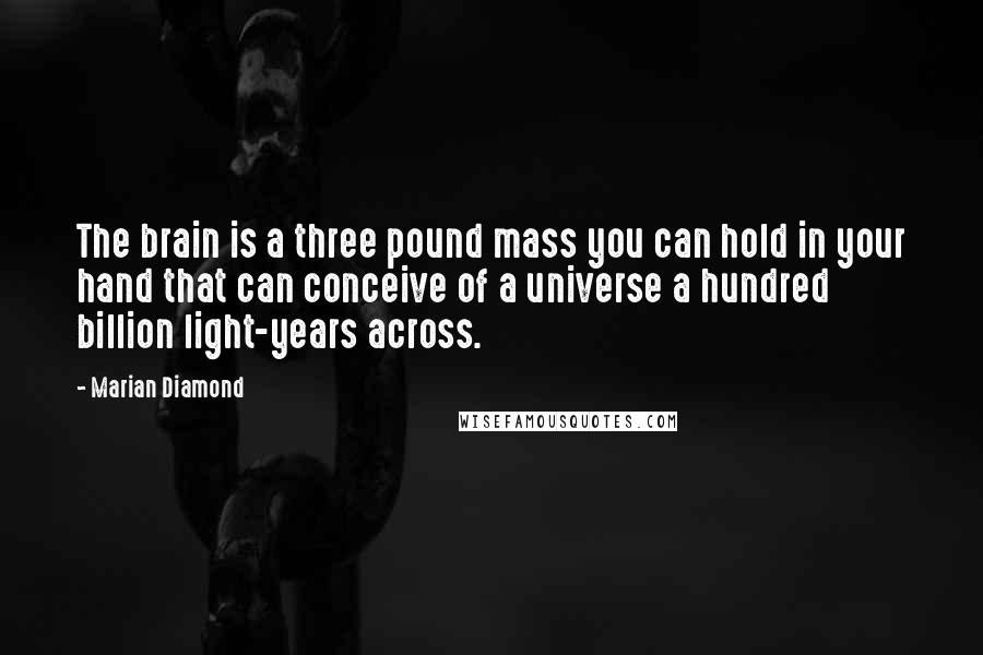 Marian Diamond quotes: The brain is a three pound mass you can hold in your hand that can conceive of a universe a hundred billion light-years across.