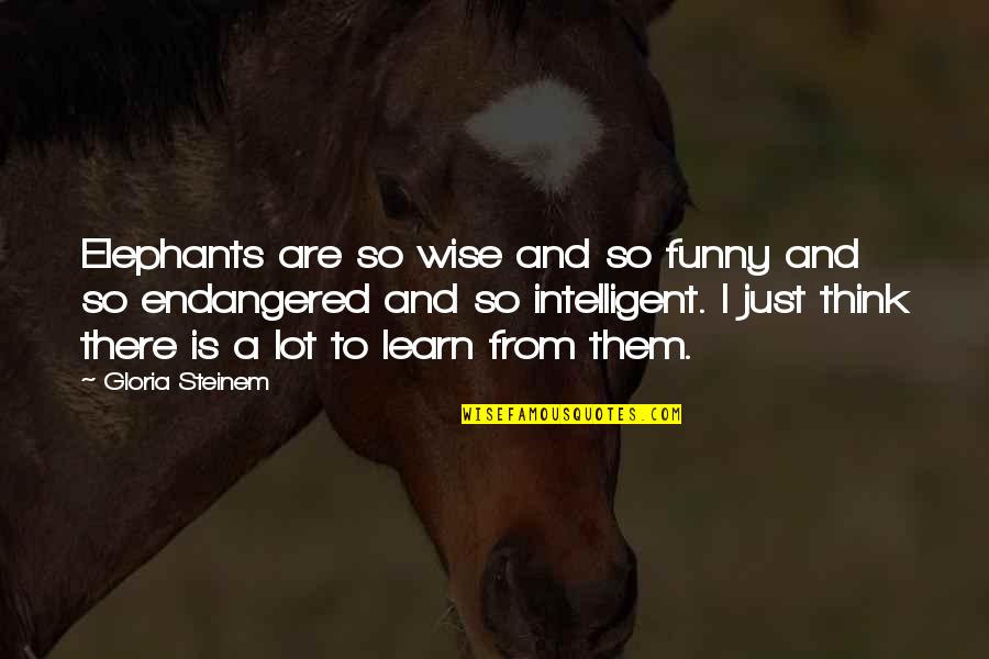 Marian Jordan Quotes By Gloria Steinem: Elephants are so wise and so funny and