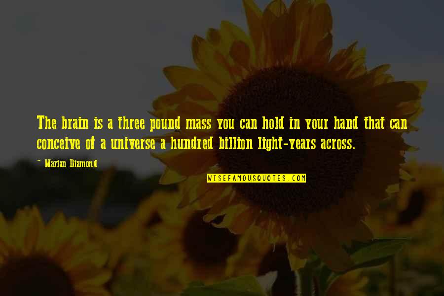 Marian Marian Quotes By Marian Diamond: The brain is a three pound mass you Marian Marian Quotes By Marian Diamond: The brain is a three pound mass you