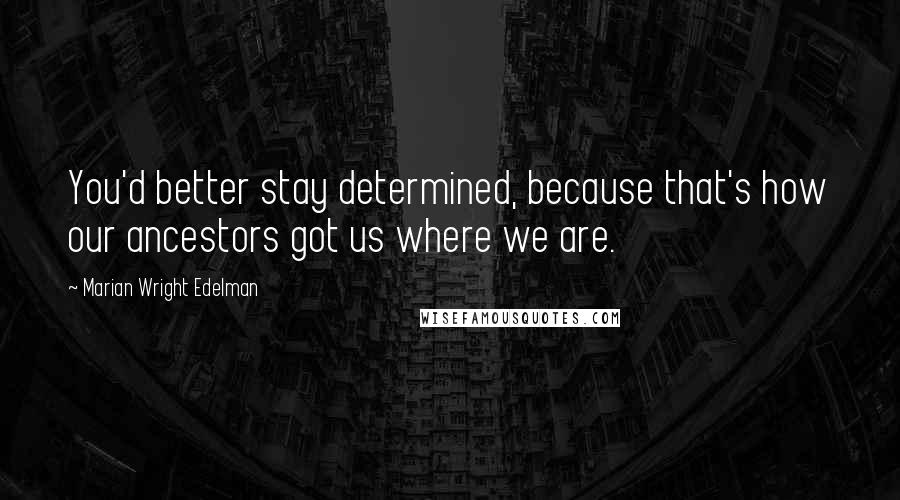 Marian Wright Edelman quotes: You'd better stay determined, because that's how our ancestors got us where we are.