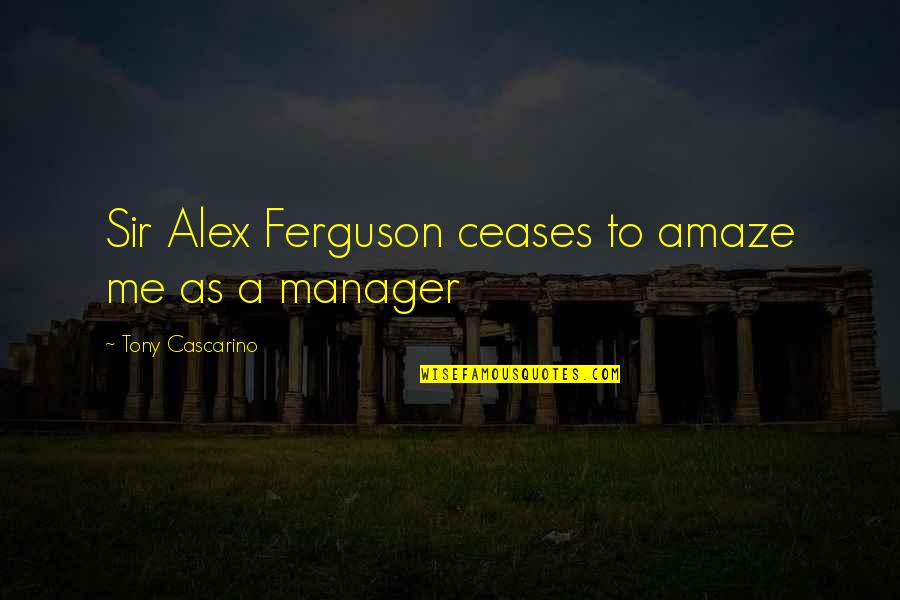 Mariangela Fantozzi Quotes By Tony Cascarino: Sir Alex Ferguson ceases to amaze me as