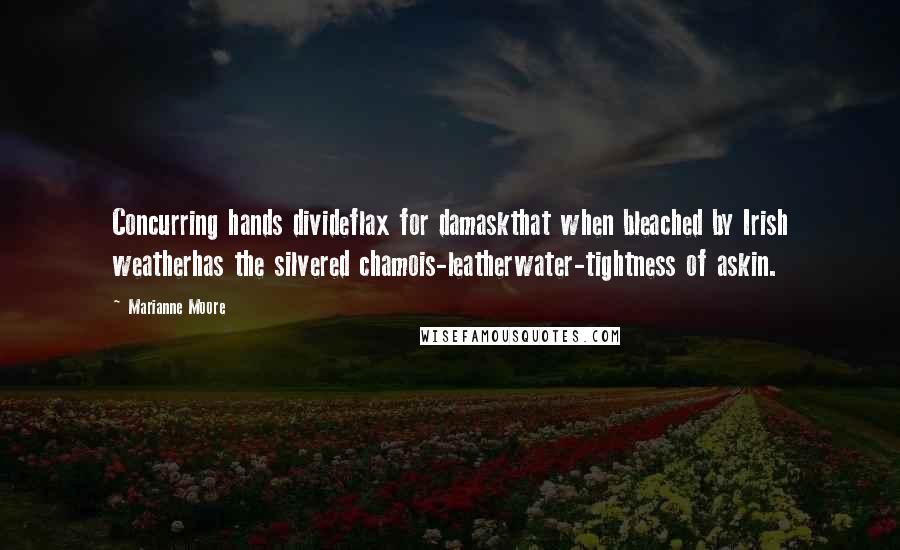 Marianne Moore quotes: Concurring hands divideflax for damaskthat when bleached by Irish weatherhas the silvered chamois-leatherwater-tightness of askin. Marianne Moore quotes: Concurring hands divideflax for damaskthat when bleached by Irish weatherhas the silvered chamois-leatherwater-tightness of askin.