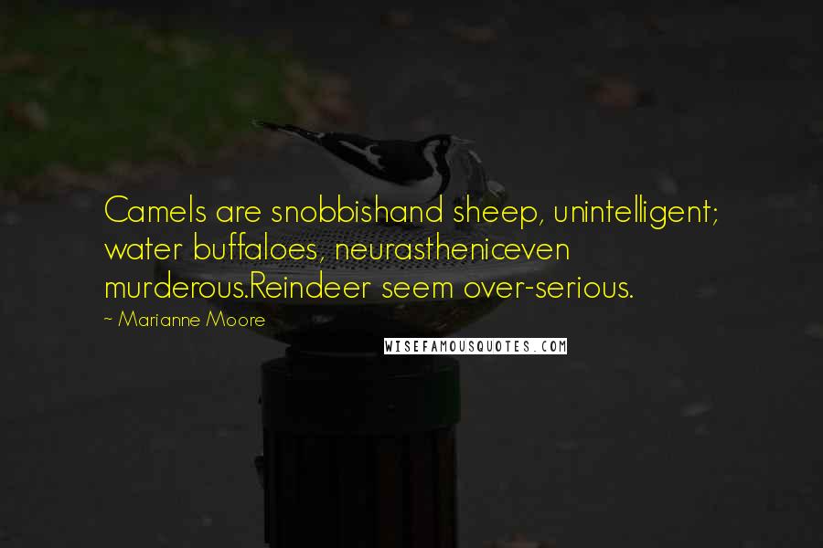 Marianne Moore quotes: Camels are snobbishand sheep, unintelligent; water buffaloes, neurastheniceven murderous.Reindeer seem over-serious.