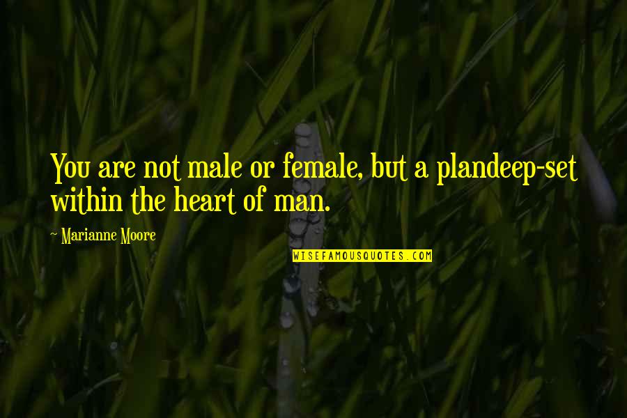 Marianne Moore Quotes By Marianne Moore: You are not male or female, but a