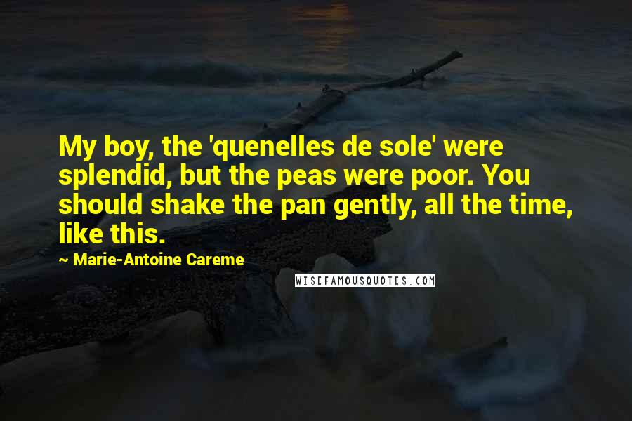 Marie-Antoine Careme quotes: My boy, the 'quenelles de sole' were splendid, but the peas were poor. You should shake the pan gently, all the time, like this.