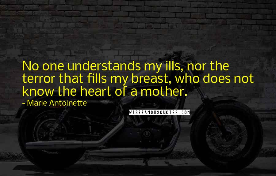 Marie Antoinette quotes: No one understands my ills, nor the terror that fills my breast, who does not know the heart of a mother.