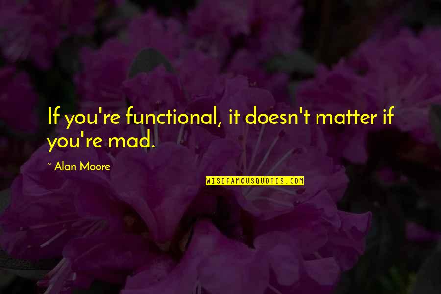 Marie Antoinette The Journey Quotes By Alan Moore: If you're functional, it doesn't matter if you're