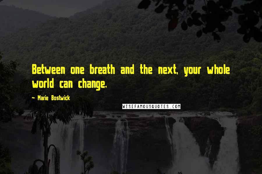 Marie Bostwick quotes: Between one breath and the next, your whole world can change.