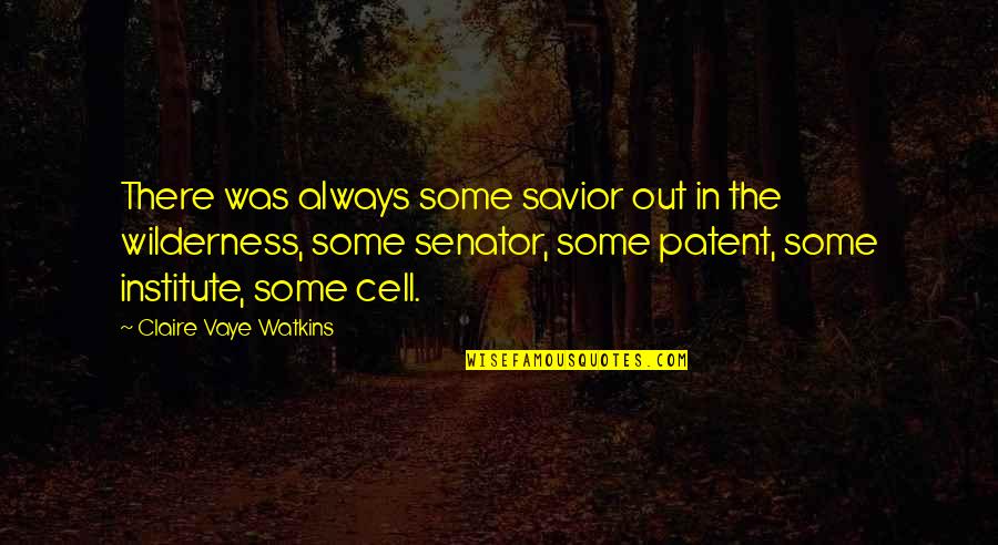 Marie Clay Writing Quotes By Claire Vaye Watkins: There was always some savior out in the