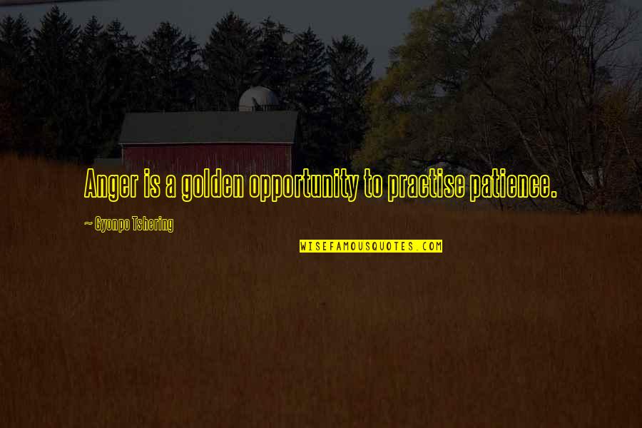 Marie Eugenie Milleret Quotes By Gyonpo Tshering: Anger is a golden opportunity to practise patience.