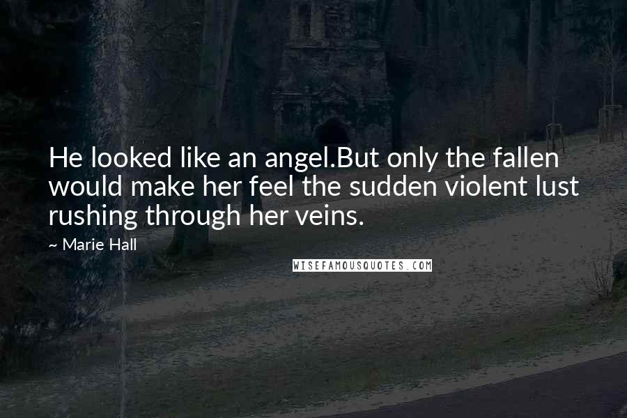 Marie Hall quotes: He looked like an angel.But only the fallen would make her feel the sudden violent lust rushing through her veins.