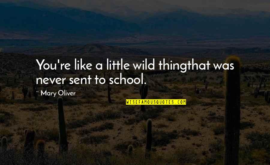 Marie Marvingt Quotes By Mary Oliver: You're like a little wild thingthat was never