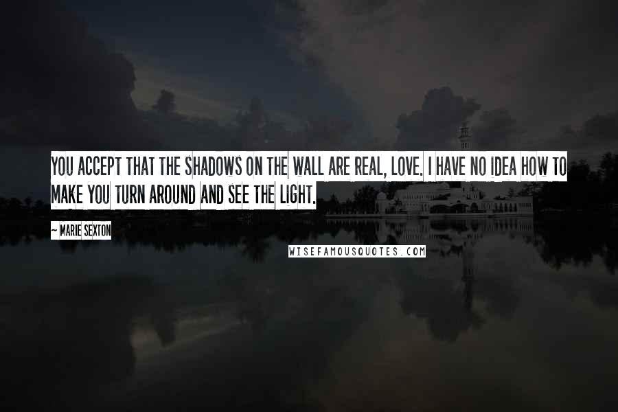 Marie Sexton quotes: You accept that the shadows on the wall are real, love. I have no idea how to make you turn around and see the light.