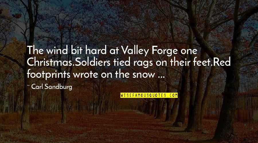 Marie Tillman Quotes By Carl Sandburg: The wind bit hard at Valley Forge one