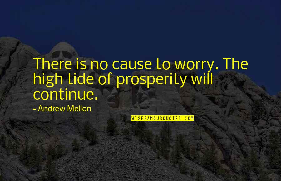 Mariela Perez Quotes By Andrew Mellon: There is no cause to worry. The high